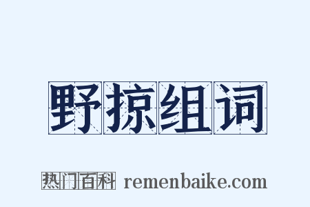 野掠组词是什么意思的图片
